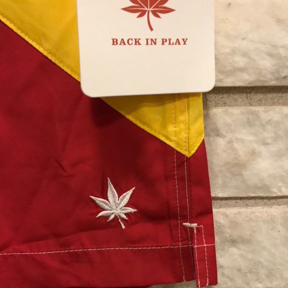 BOAST SWIM SHORTS - Picture 2 of 4